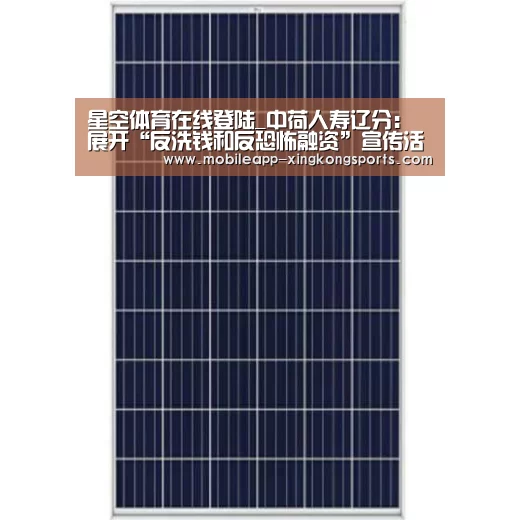星空体育在线登陆_中荷人寿辽分:展开“反洗钱和反恐怖融资”宣传活动(图4) 星空体育直播