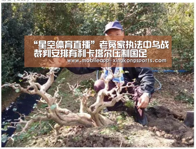 星空体育下载