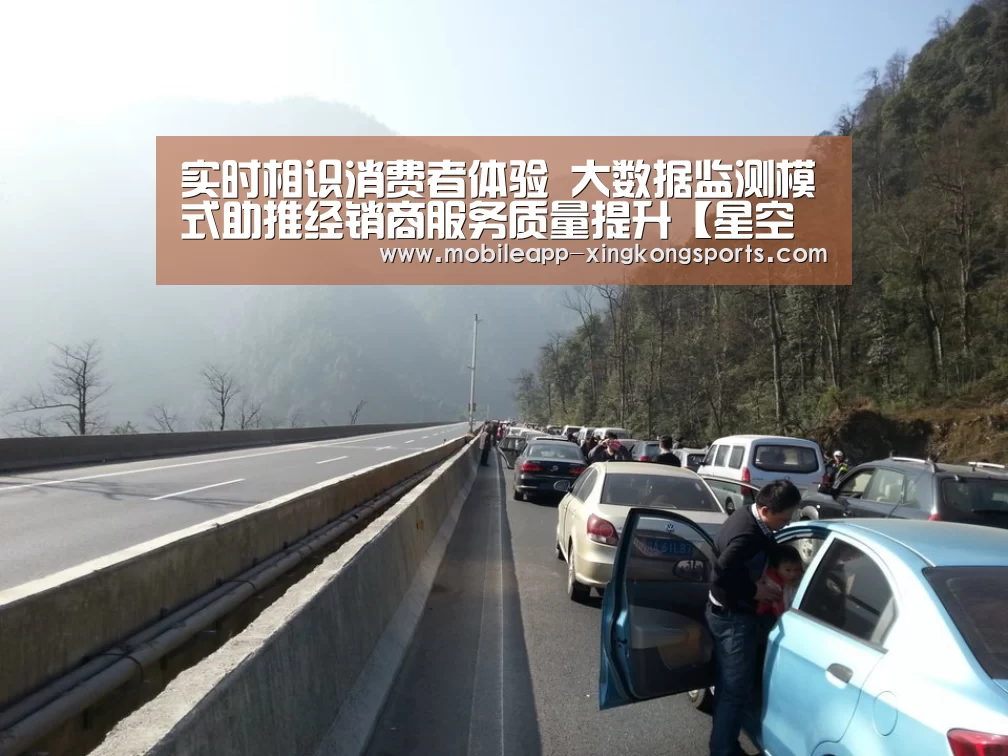 实时相识消费者体验 大数据监测模式助推经销商服务质量提升【星空体育下载】(图3) 星空体育直播