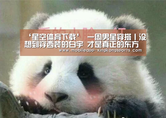 星空体育直播