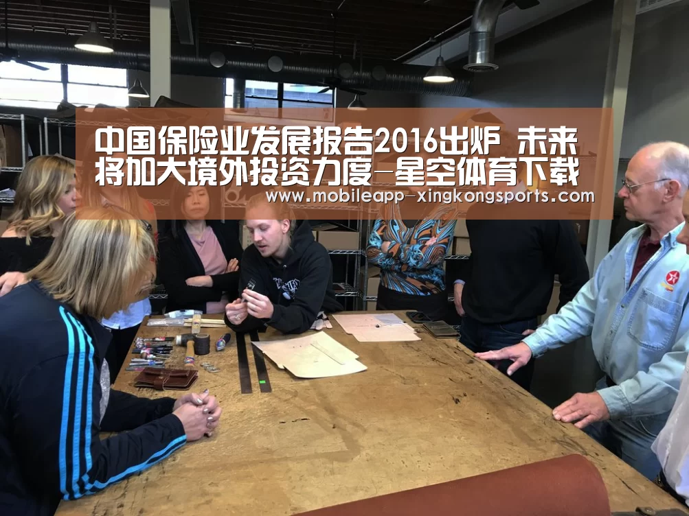 中国保险业发展报告2016出炉 未来将加大境外投资力度-星空体育下载